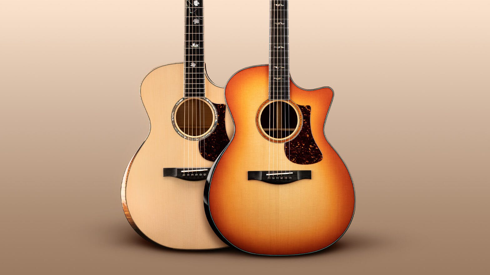 Eagle Music Guitars