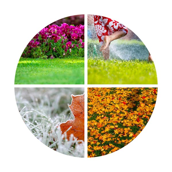 Lawnsmith Lawn Care Diary