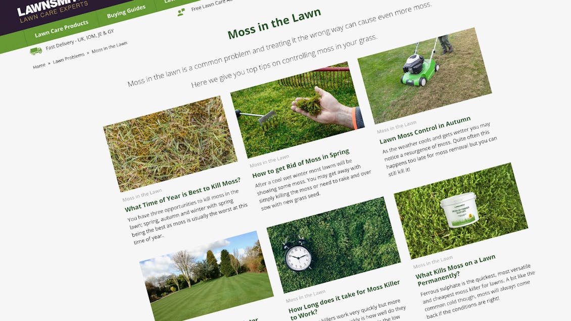 Lawnsmith Lawn Care Problems