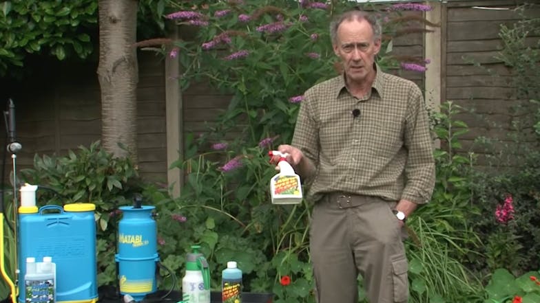Lawnsmith Weed Control Article