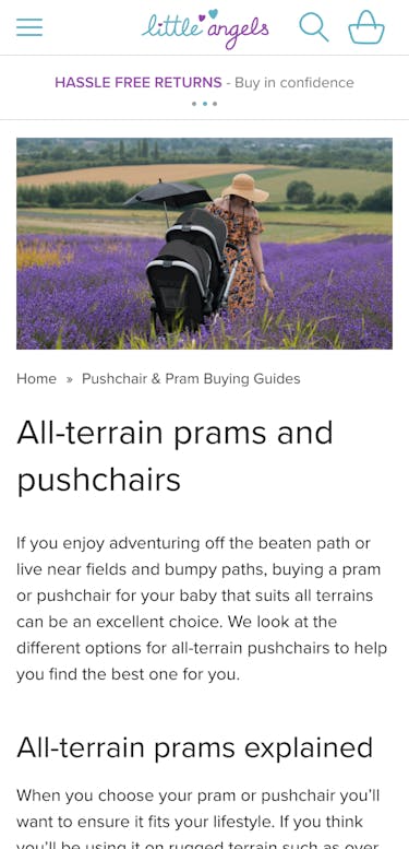 Litte Angels Prams Article