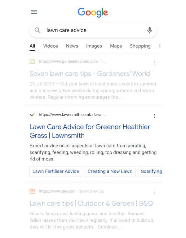 Lawn Care Advice - Google Search Term